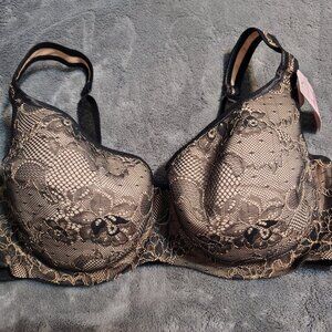 Balconette Lace Bra - Tan & Black - Lane Bryant Cacique - Size 44D - NWT